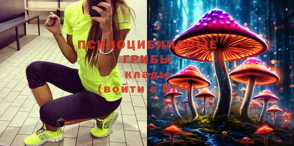 герыч Алексин
