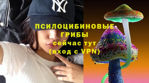 герыч Алексин